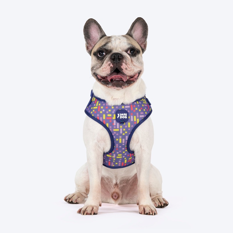 Dash Dog Pixel Easy Walk Harness For Dog – Purple