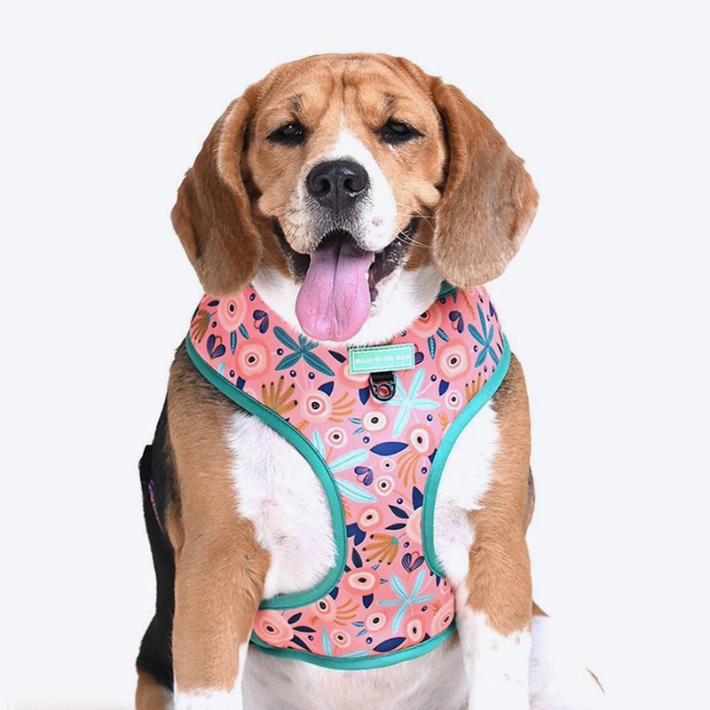 HUFT Bloom Wildly Reversible Harness For Dogs – Pink