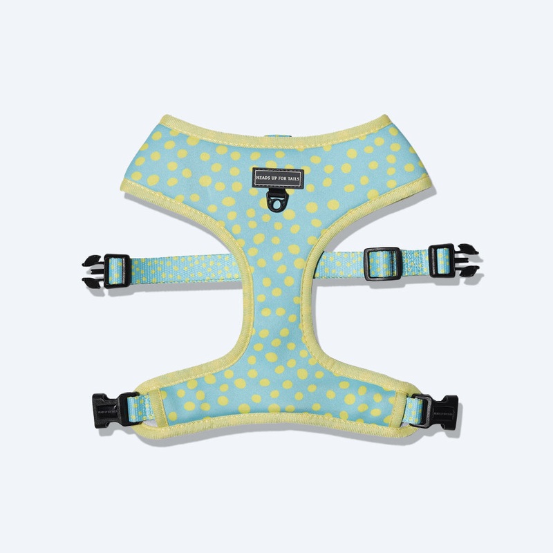 HUFT Daisy Bell Reversible Dog Harness – Sky Blue