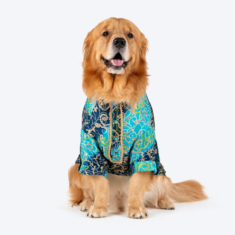 HUFT Festive Bliss Kurta For Dog – Blue