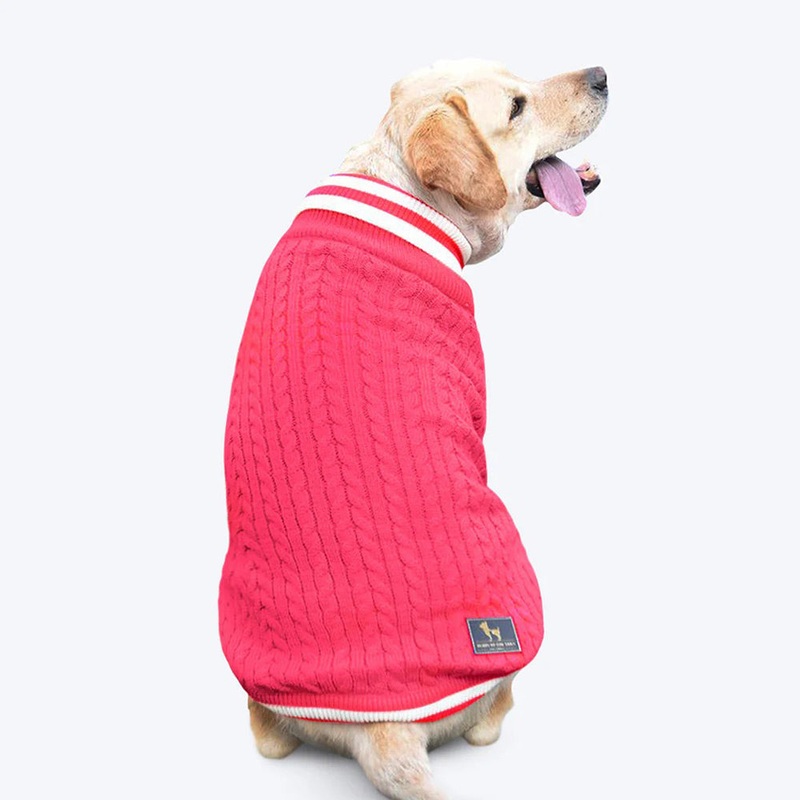HUFT Fuzzy Buddy Dog Sweater – Pink