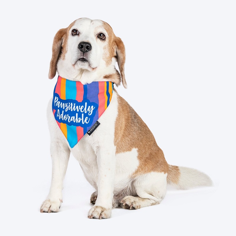 HUFT Pawsitively Adorable Printed Dog Bandana – Multicolour