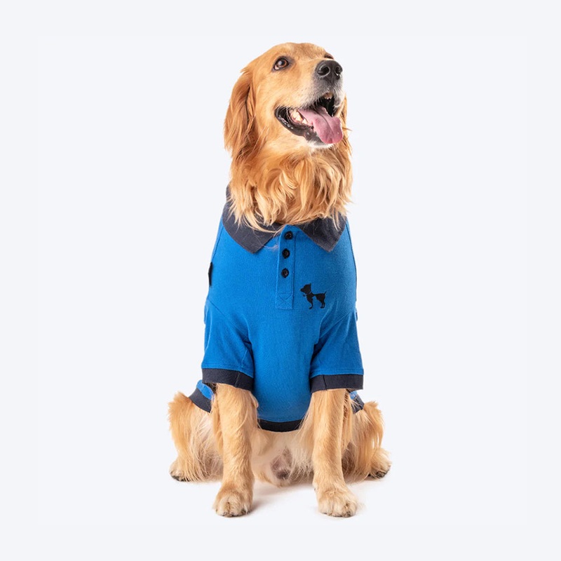 HUFT Polo T-Shirt For Dog – Blue