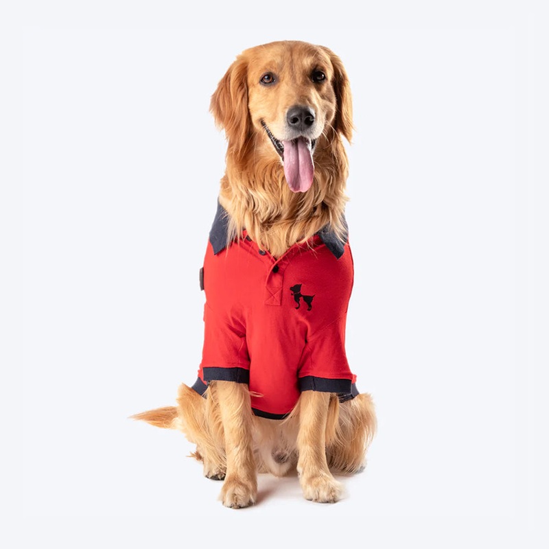 HUFT Polo T-Shirt For Dog – Red