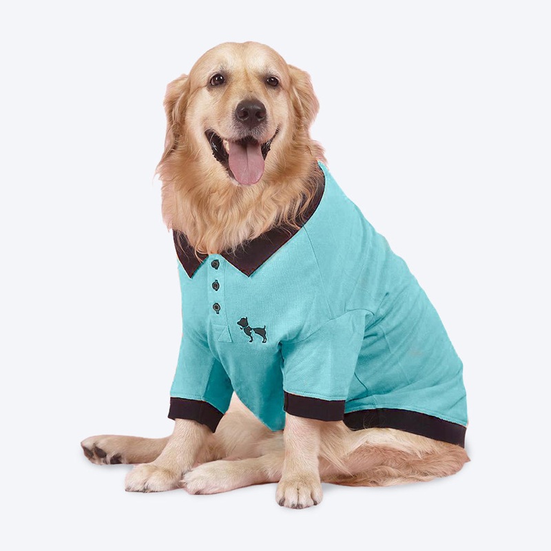 HUFT Solid Polo Dog T-Shirt – Light Blue