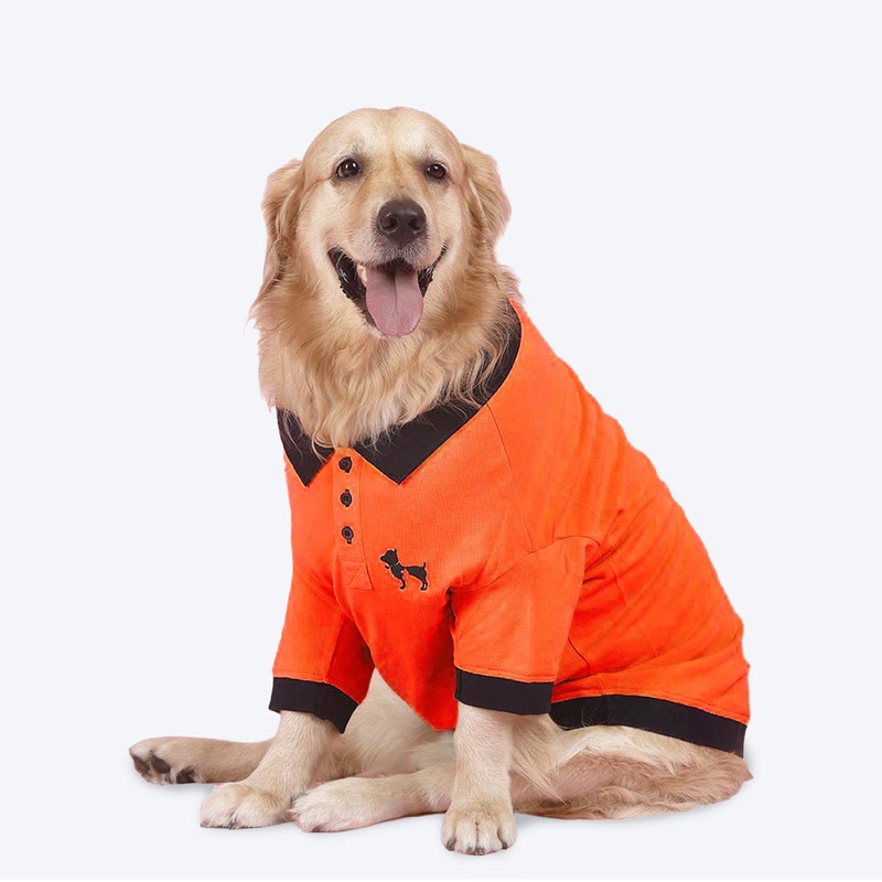 HUFT Solid Polo Dog T-Shirt – Orange