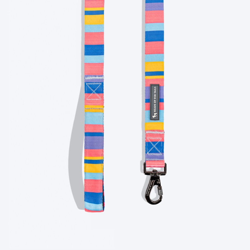 HUFT Spectrum Stripes Leash For Dog – Multicolor
