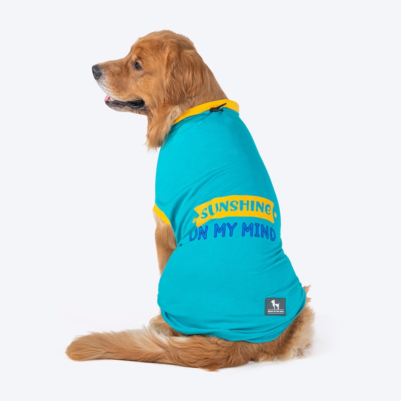 HUFT Sunshine On My Mind T-Shirt For Dogs – Light Blue
