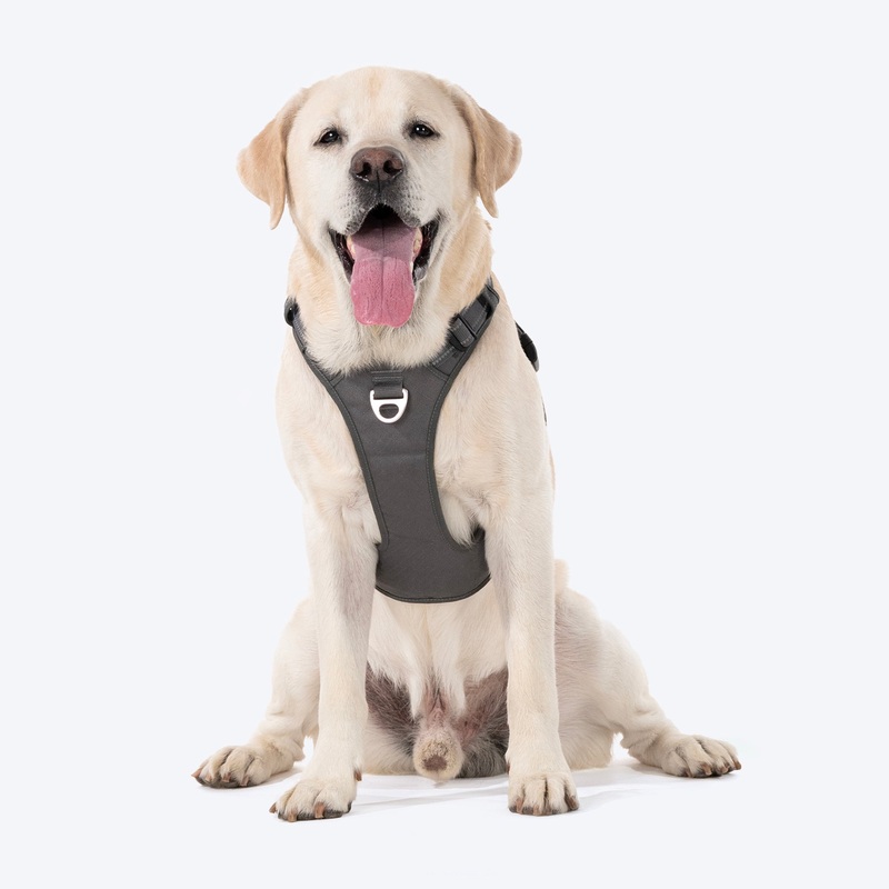 HUFT Xplorers Harness For Dog – Grey
