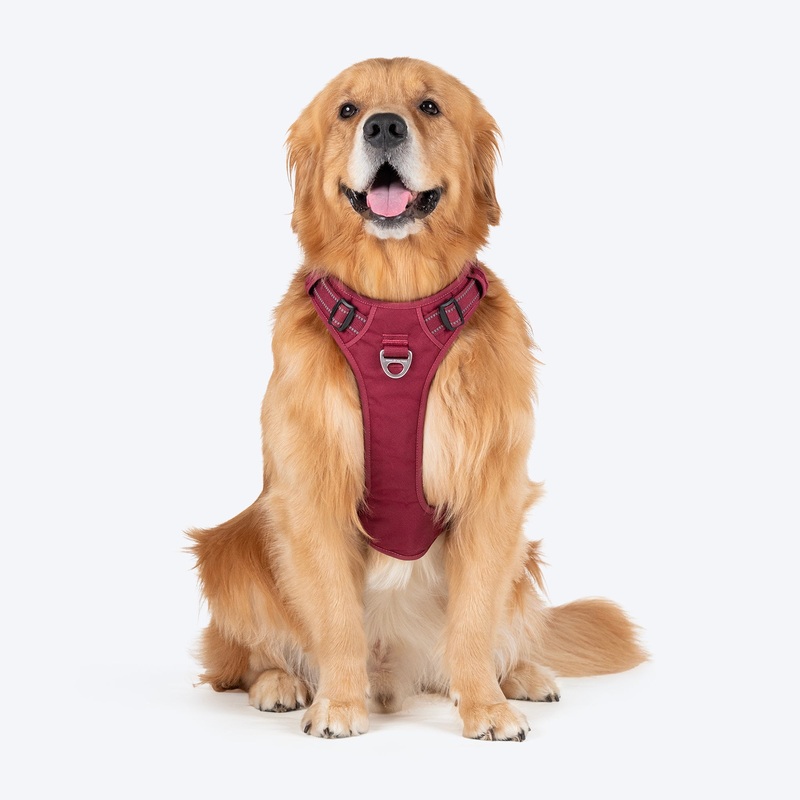 HUFT Xplorers Harness For Dog – Maroon