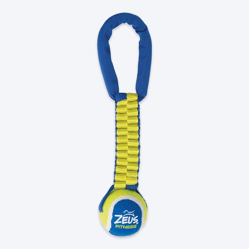Zeus Fitness Tennis Ball Nylon Twist Tug Fetch Dog Toy – Green & Blue