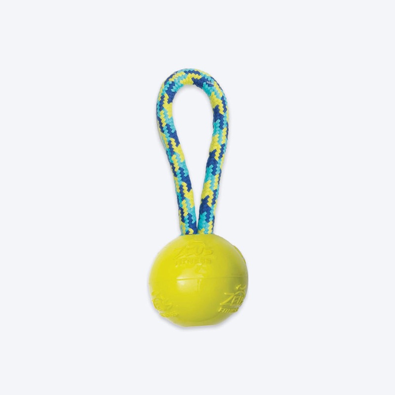 Zeus Fitness TPR & Rope Ball Tug Fetch Dog Toy – Green/Blue