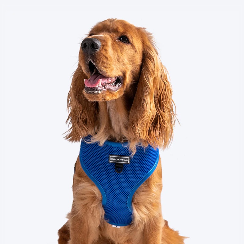 HUFT Classic Mesh Dog Harness – Blue