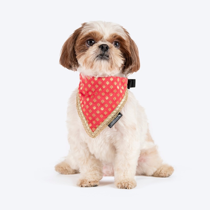HUFT Desi Regal Bandana For Dog – Coral