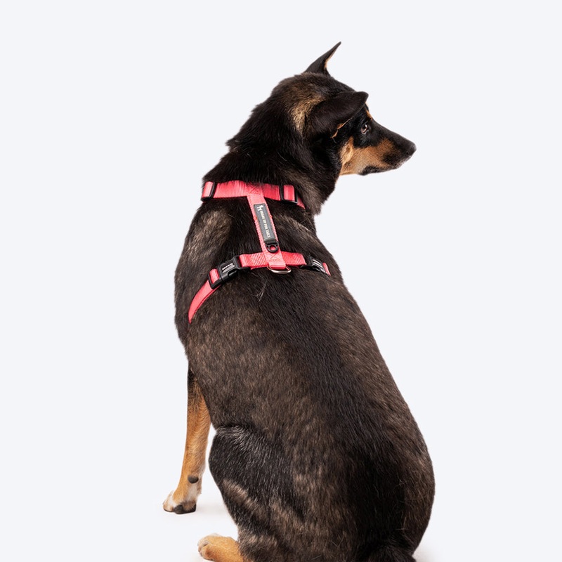 HUFT Essentials Nylon Dog H-Harness – Dark Pink