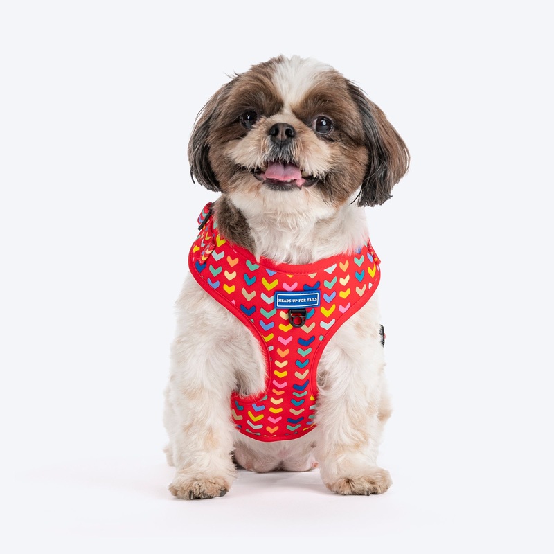 HUFT Heart to Heart Adjustable Harness For Dog – Red