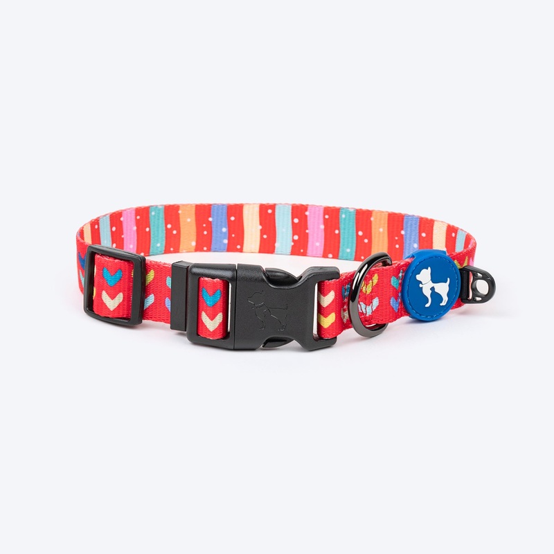 HUFT Heart to Heart Collar For Dog – Red