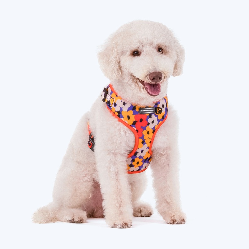 HUFT Misfit Meadow Adjustable Dog Harness – Purple