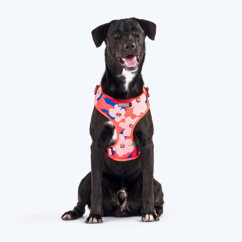 HUFT Petal Play Adjustable Dog Harness – Orange