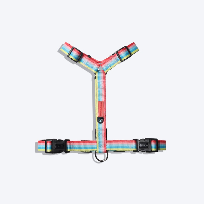 HUFT Pride Rainbow Popsicle Dog H-Harness