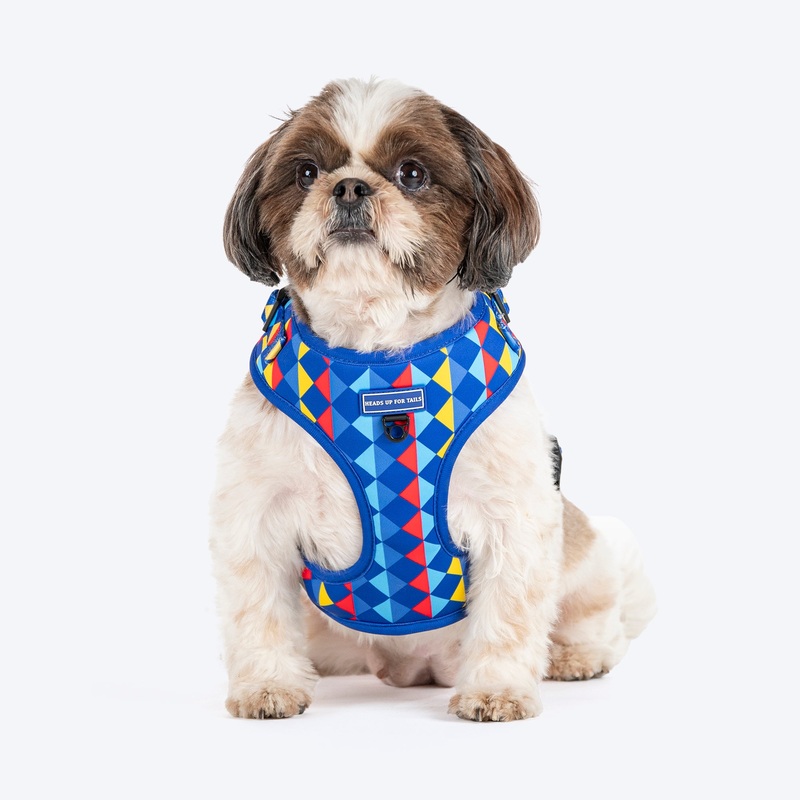 HUFT Prism Patterns Adjustable Harness For Dog – Blue