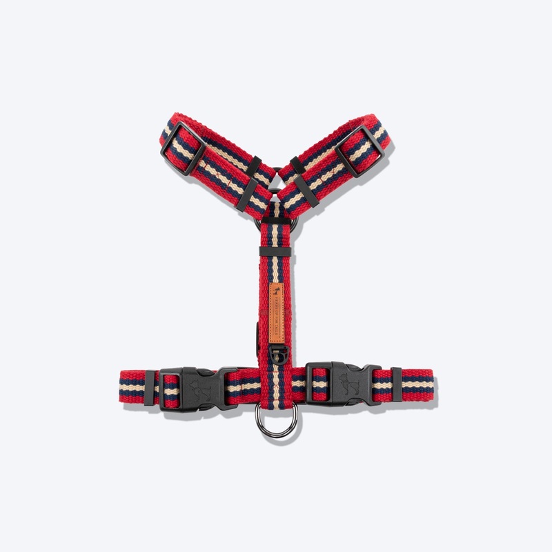 HUFT Retro Vibes Dog H-Harness – Maroon & Navy
