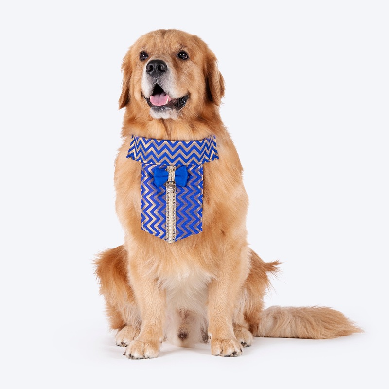 HUFT Shahi Sherwani Bandana For Dog – Royal Blue