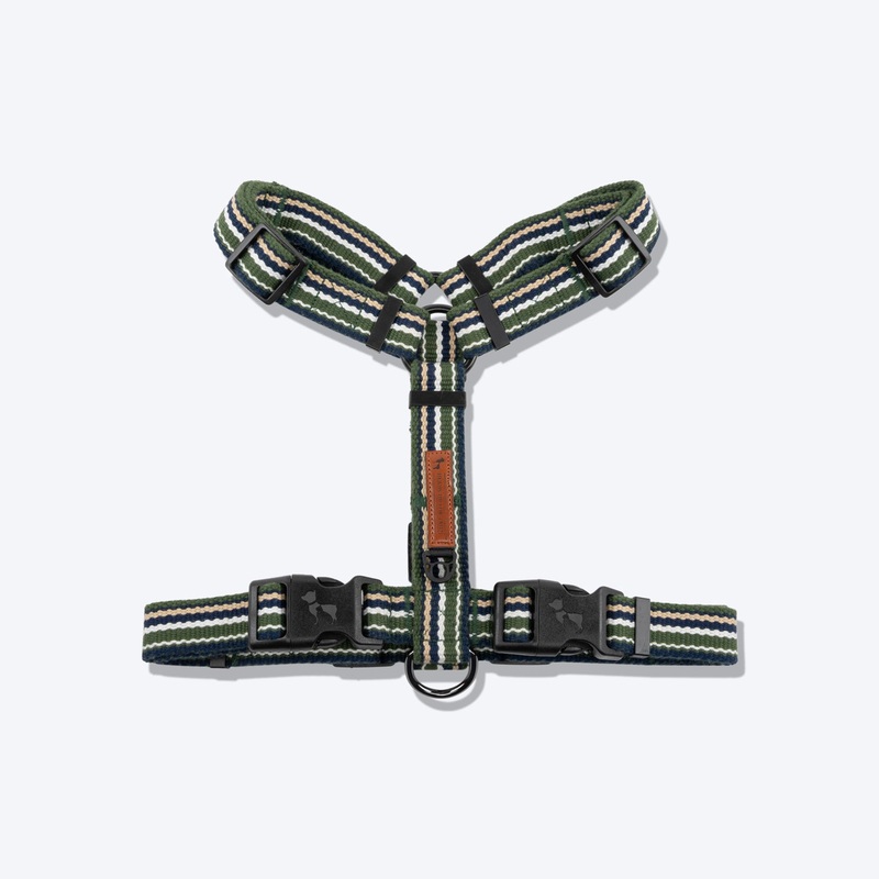 HUFT Vintage Dog H-Harness – Navy & Green
