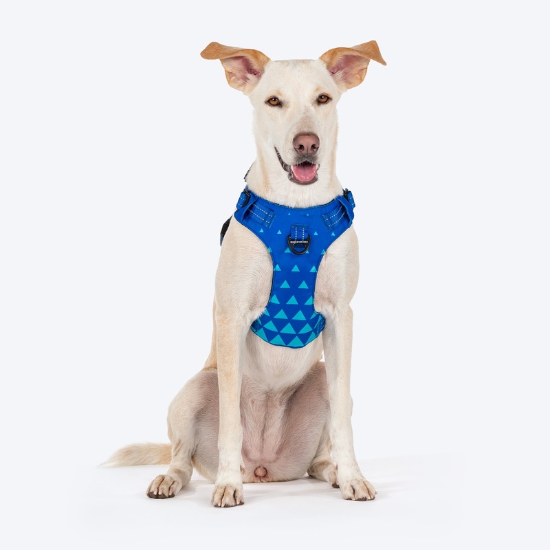 HUFT Walk Light Harness For Dog – Azure Blue