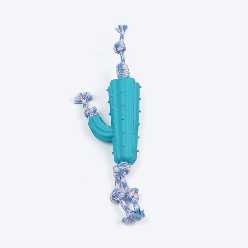 Dash Dog Texas Twist Rope Toy For Dog – White & Turquoise