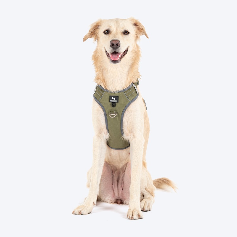 HUFT Active Pet Dog Harness – Olive Green