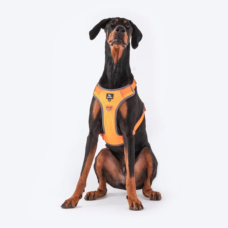 HUFT Active Pet Dog Harness – Orange