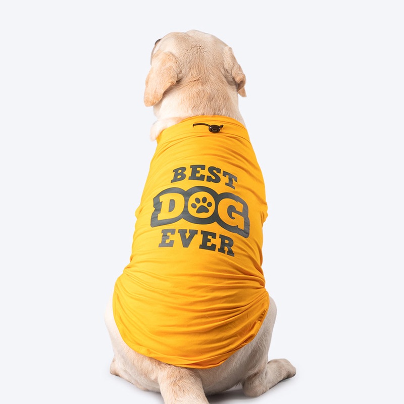 HUFT Best Dog Ever T-Shirt For Dog – Yellow