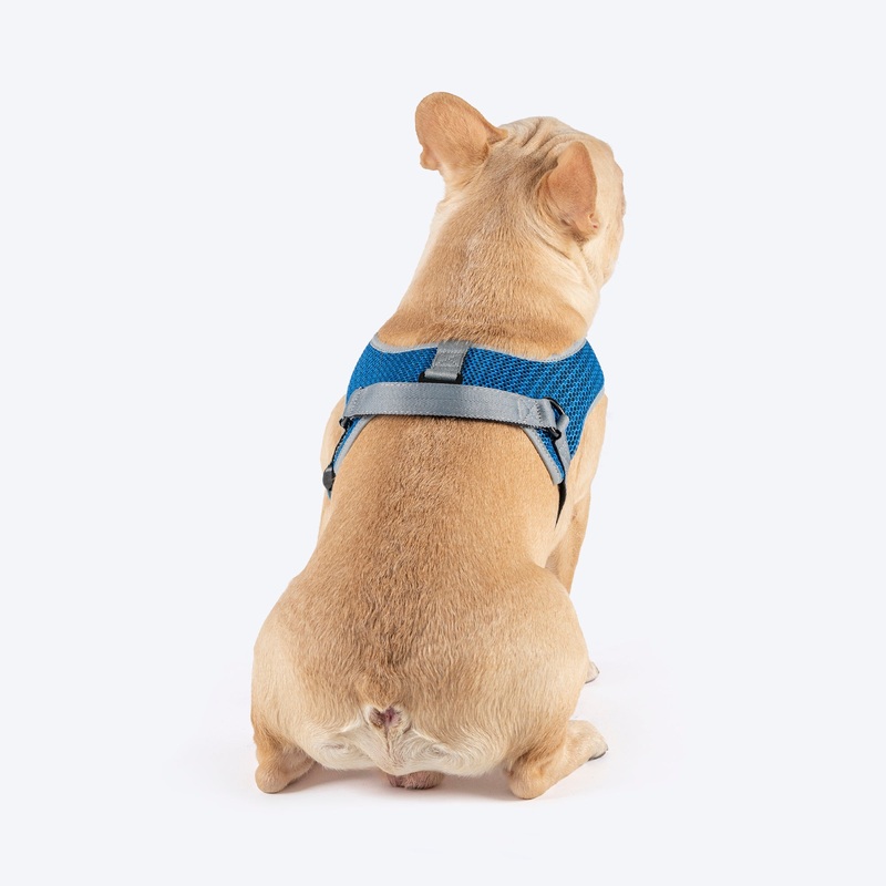 HUFT Easy Fit U-Harness For Dog – Blue