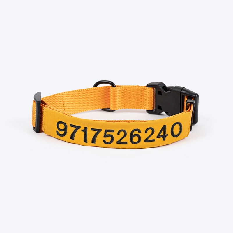 HUFT Personalised Basics (Mobile No.) Dog Collar – Yellow