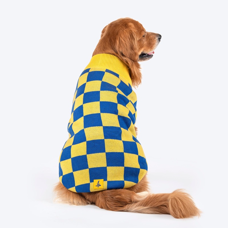 TLC Sunny Checks Sweater For Dog – Yellow & Blue