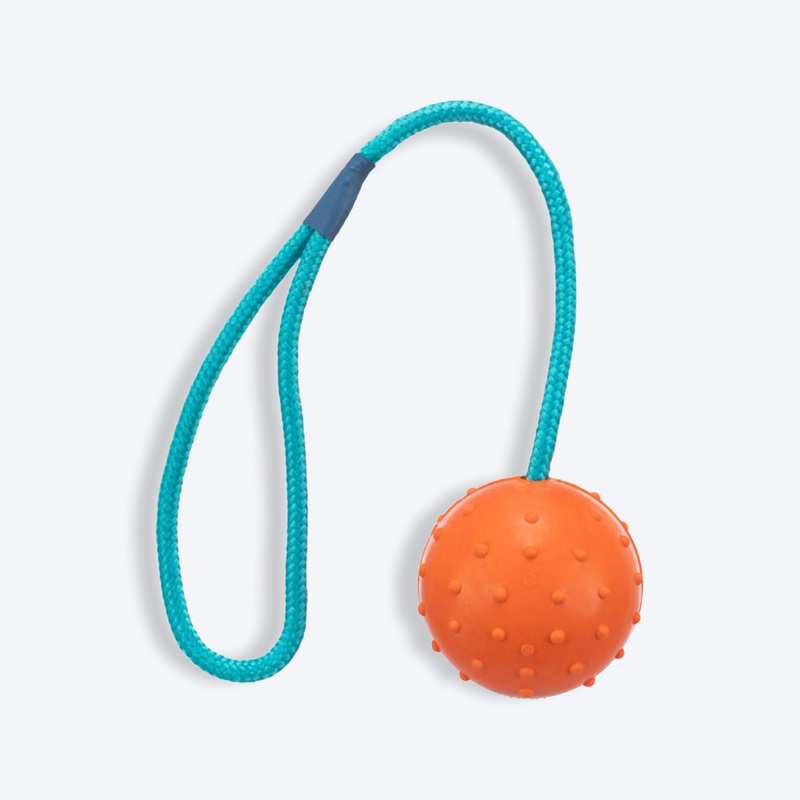 Trixie Ball On A Rope Natural Rubber With Sound Fetch Toy For Dogs – Assorted