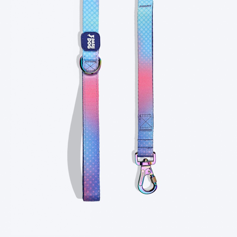 Dash Dog Flow Print Leash – Pink & Aqua Blue