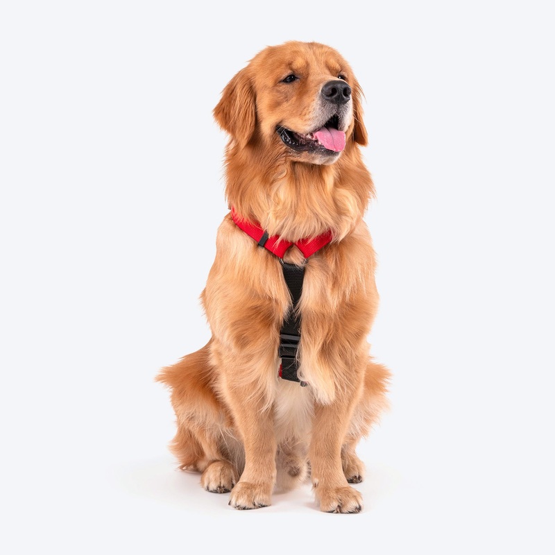 HUFT Basics Dog H-Harness – Crimson Red