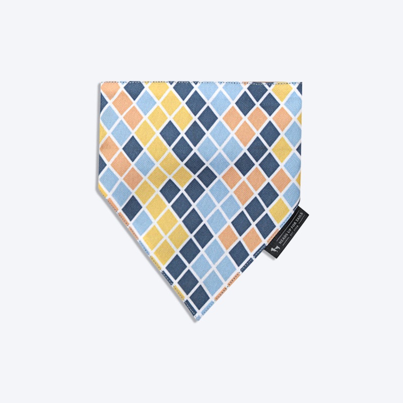 HUFT Colour Chaser Dog Bandana