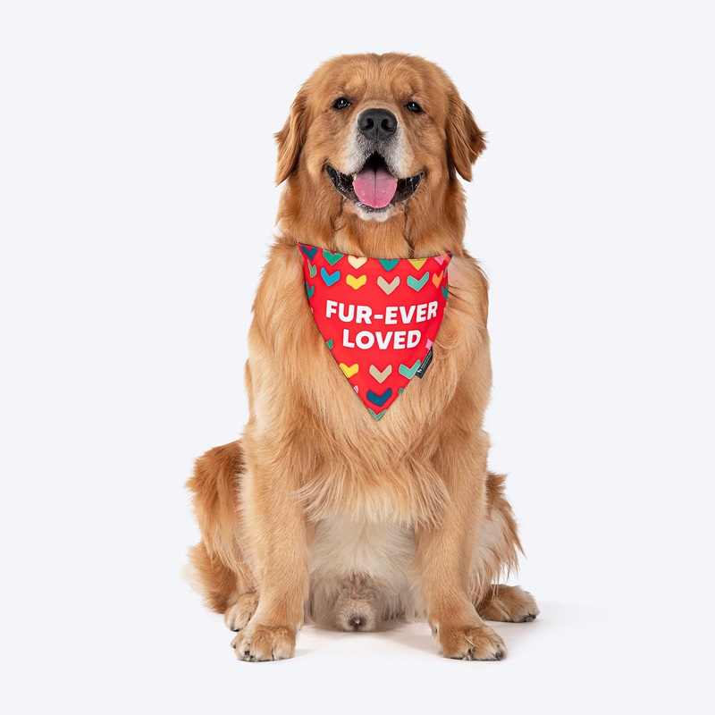 HUFT Fur-ever Loved Printed Dog Bandana – Red