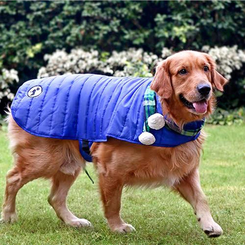 HUFT Madison Dog Jacket – Blue
