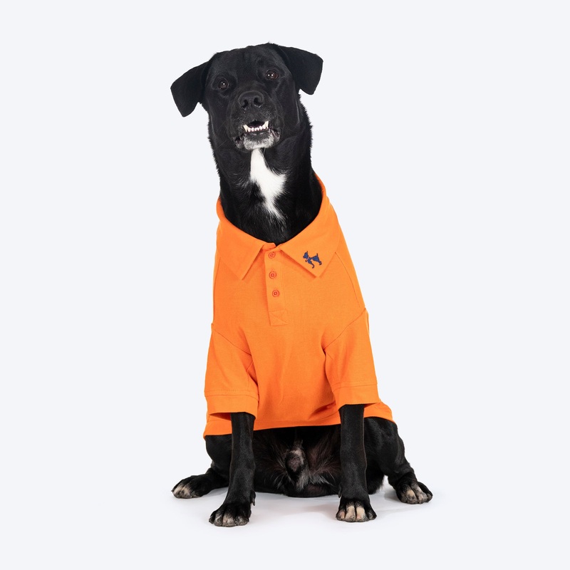 HUFT Paws Polo T-Shirt For Dog – Orange