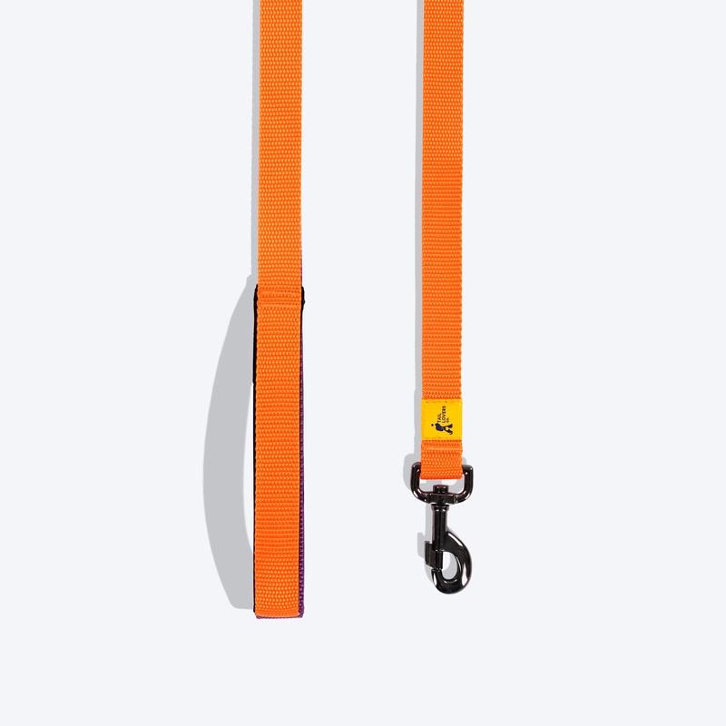 TLC Leash For Dog – Orange|XS|S|M|L