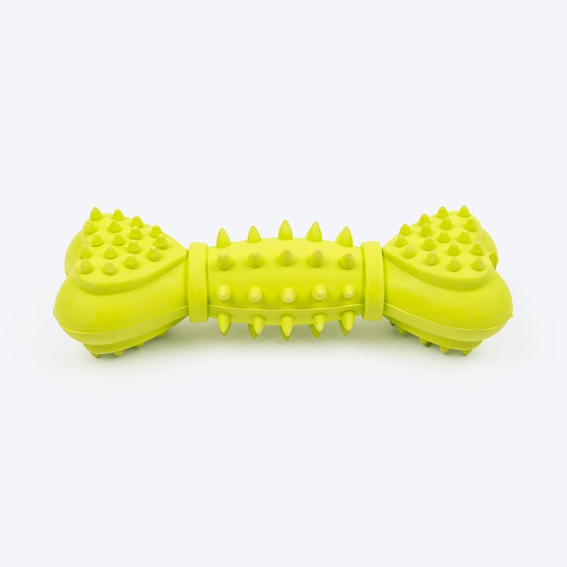 TLC Spiky Heart Bone Squeaky Chew Toy For Dog – Green