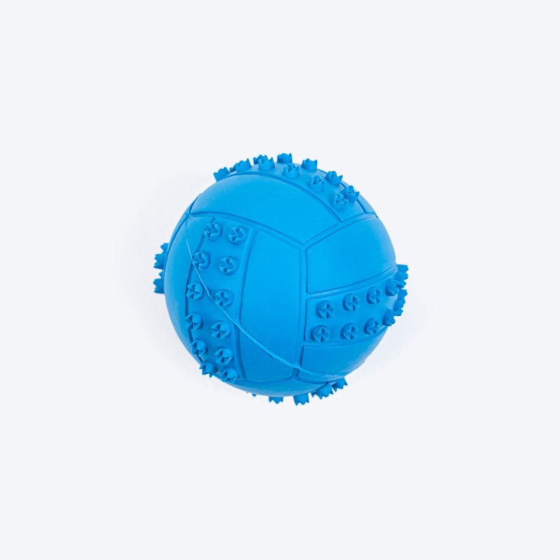 TLC Textured Ball Squeaky Chew Toy For Dog – Blue