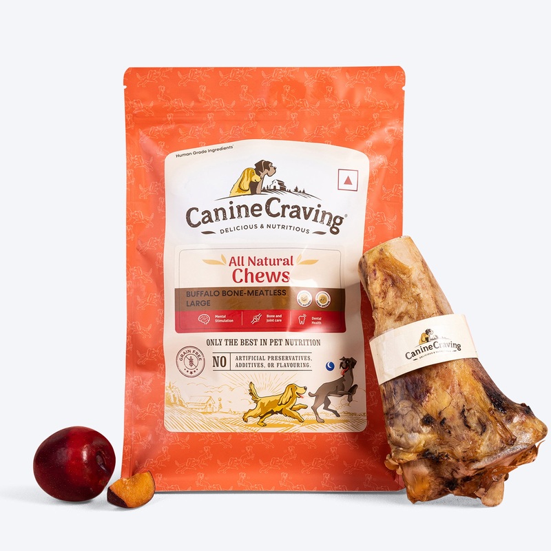 Canine Craving Meatless Buffalo Bone Chew Dog Treat Large – 1 Piece – 350g