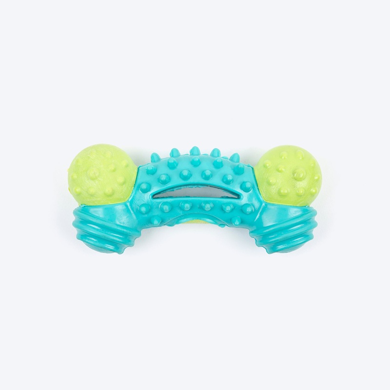 Dash Dog Crunch-A-Bone Chew Toy For Dog – Green & Turquoise