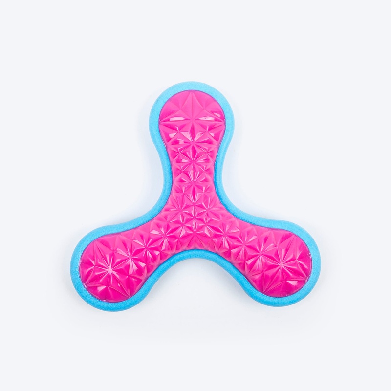 Dash Dog Fun-Time Frisbee Chew Toy For Dog – Pink & Blue