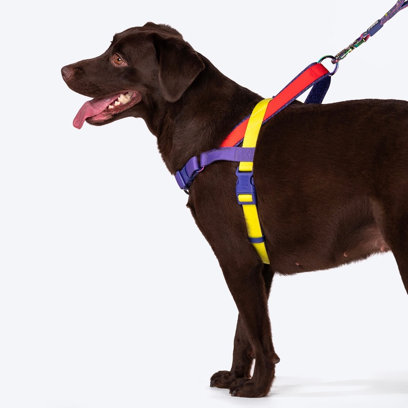 Dash Dog On-The-Go Harness For Dog – Red